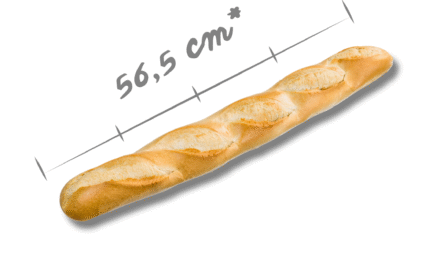Zdjęcia www (8)