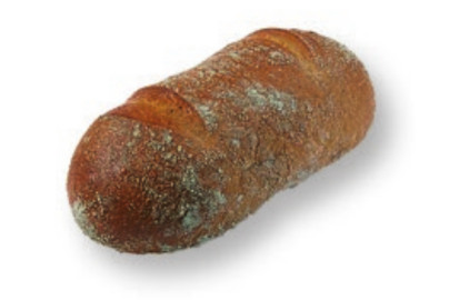 chleb-mazowiecki