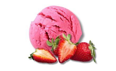 Lody (4)