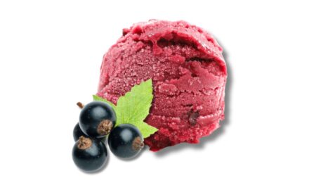 Lody (5)